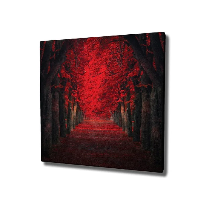 Nástěnný obraz Red Trees 45x45 cm