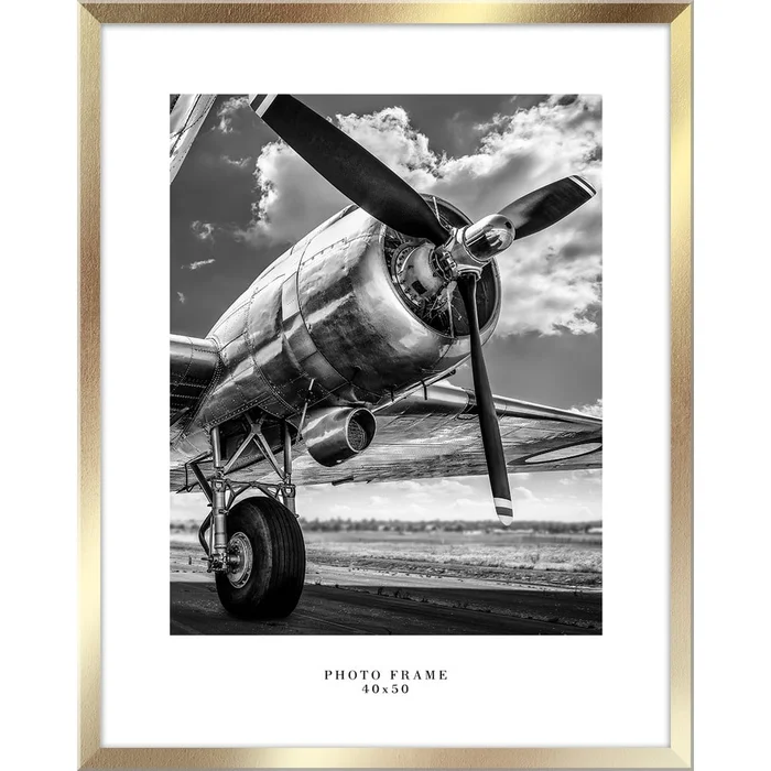 Nástěnný zlatý rámeček Styler Floryda 43x53 cm