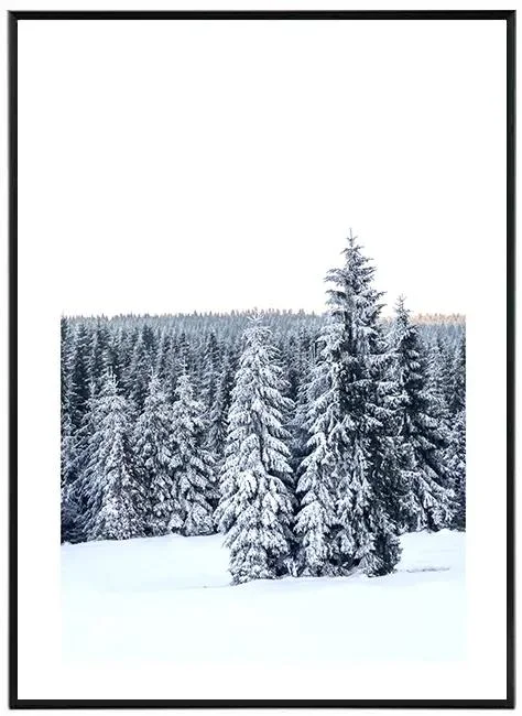 Název: 'Severská Krajina - Umělecký Tisk 30x40 cm'
