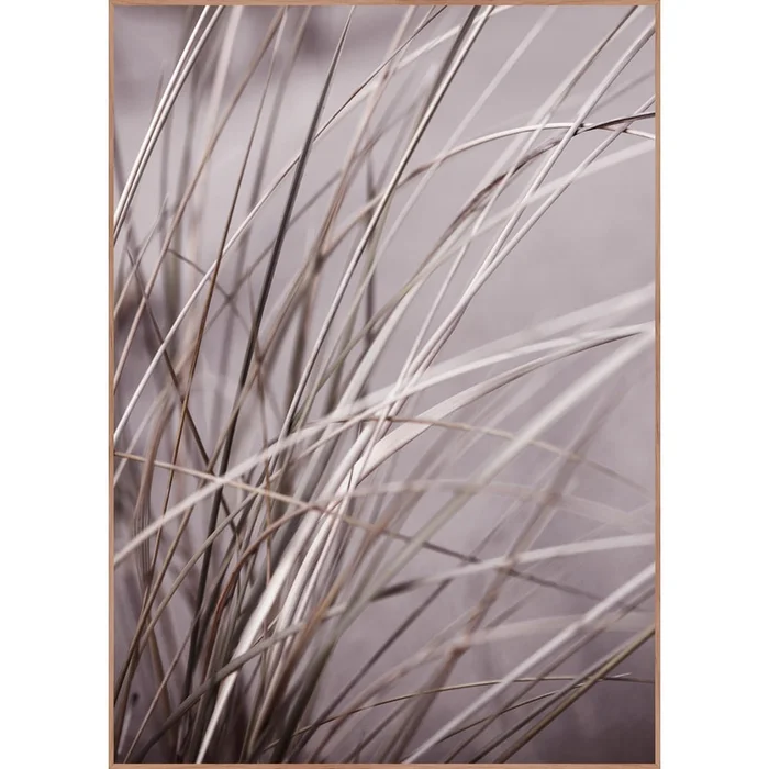 Obraz 50x70 cm Mellow Grasses