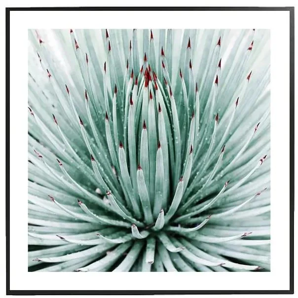 Obraz Spell 50x50 cm