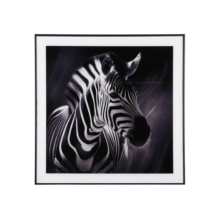 Obraz Zebra 50x50 cm