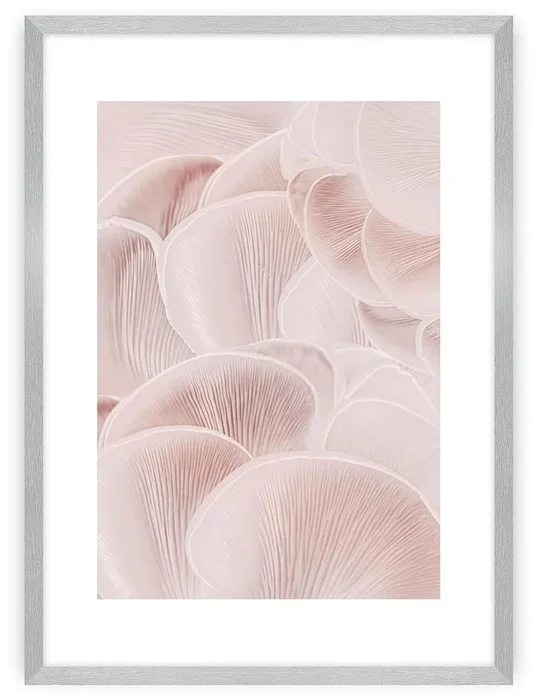 Pastel Pink Wall Art