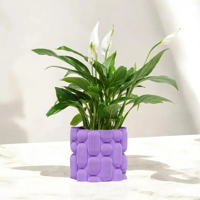 Plantbee Elgus Květináč 12cm Purpurový