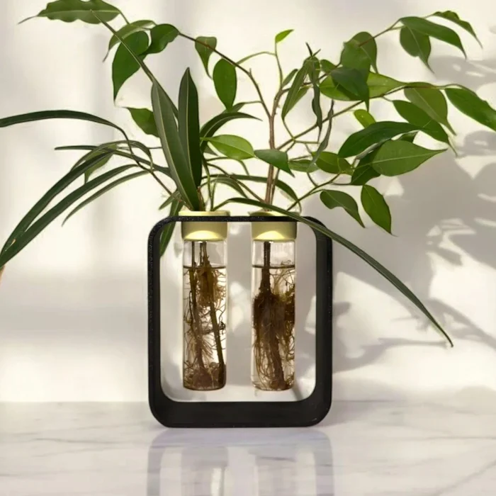 PlantBee XL Množení Rostlin Sada černá