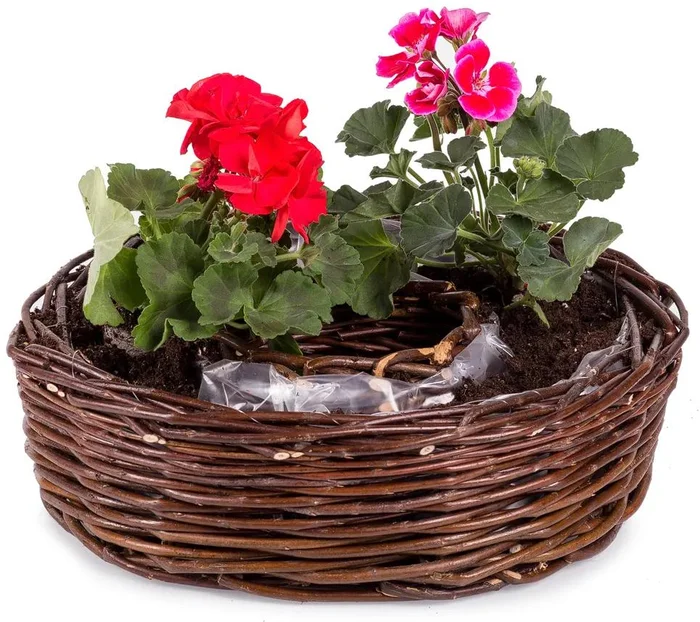 Proutěný zahradní aranžovací koš Rozmaring II, 30 cm