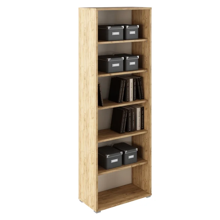 Regál RIOMA TYP 01 dub artisan/bílá
