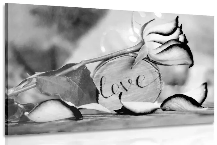 Romantický černobílý obraz 'Love' – Elegance v jednobarevném provedení