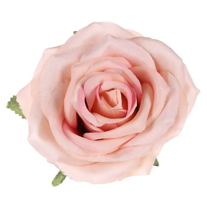 Růže vazbová 12 ks KUM3311-OLDPINK