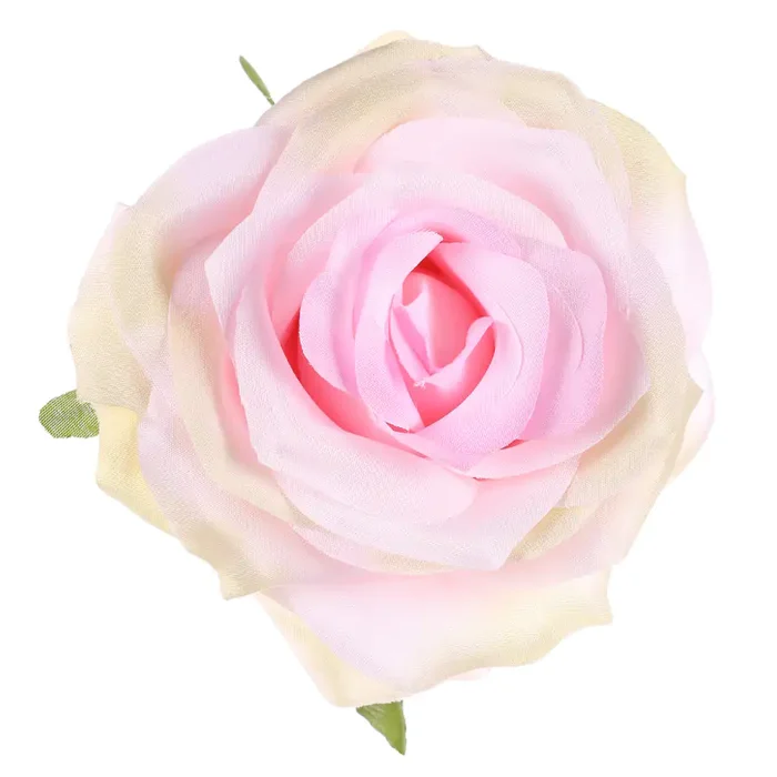 Růže vazbová KUM3311-PINK, 12 ks