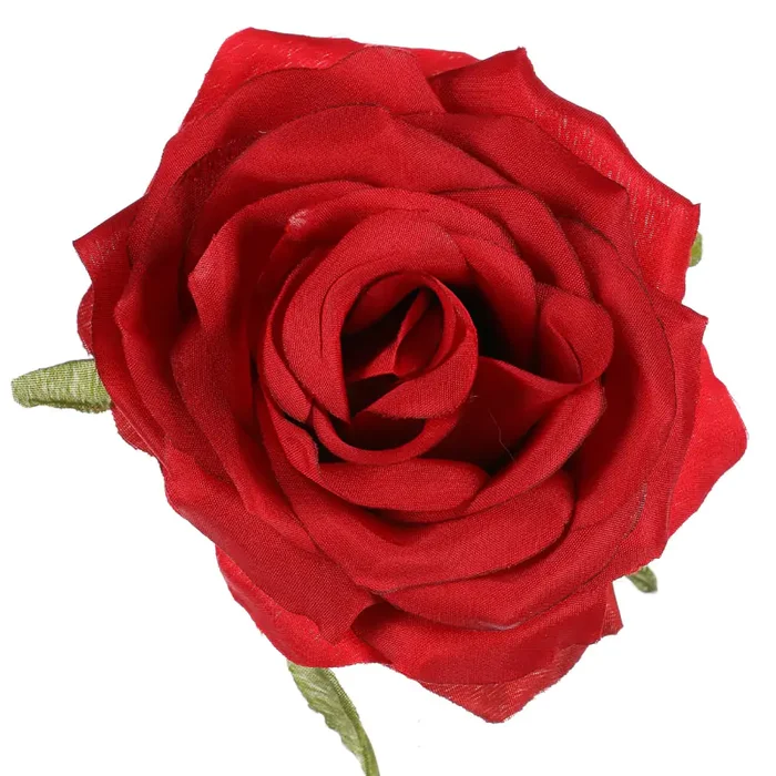 Růže vazbová KUM3311-RED, 12 ks