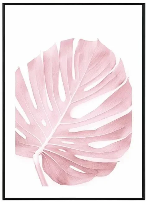 Růžová Monstera - Umělecký tisk 30x40 cm