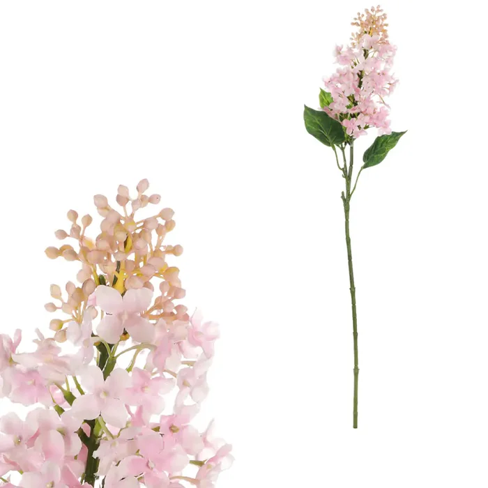 Růžový šeřík KUL016 Pink