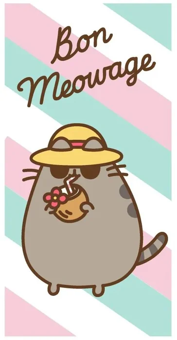 Rychleschnoucí plážová osuška Pusheen Kočička 70x140 cm