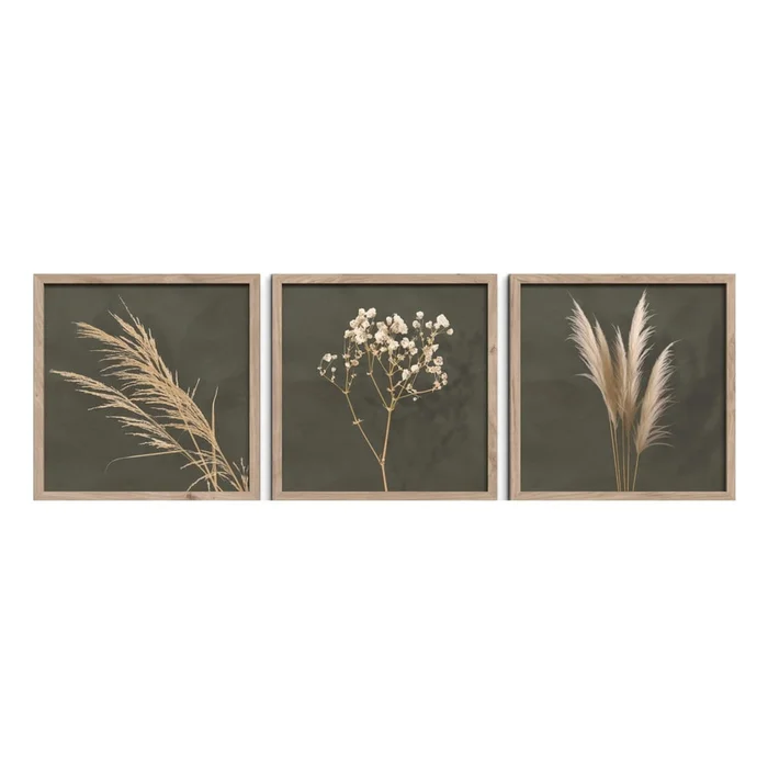 Sada 3 dekorativních obrazů 30x30 cm Pampas
