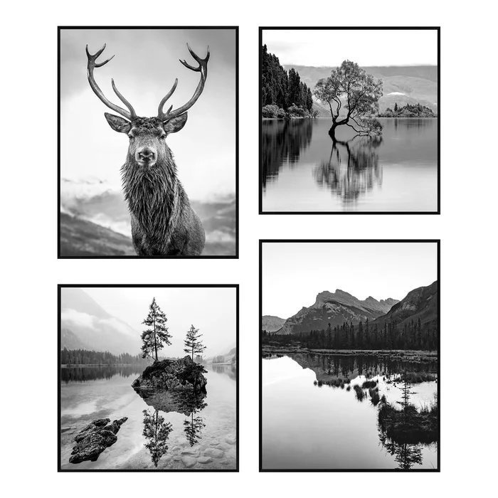 Sada 4 obrazů Wild 30x40 a 30x30 cm