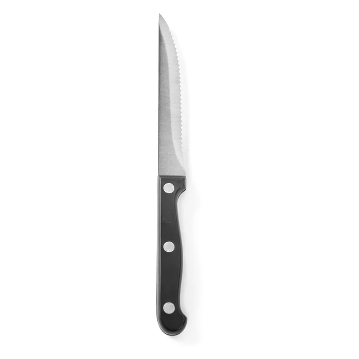 Sada 6 nerezových nožů na steak