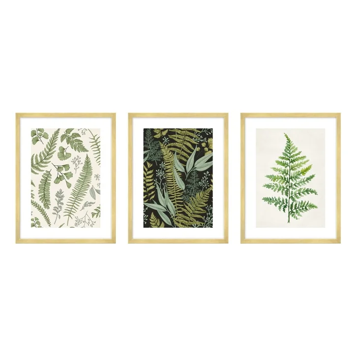 Sada tří obrazů Fern 30x40 cm