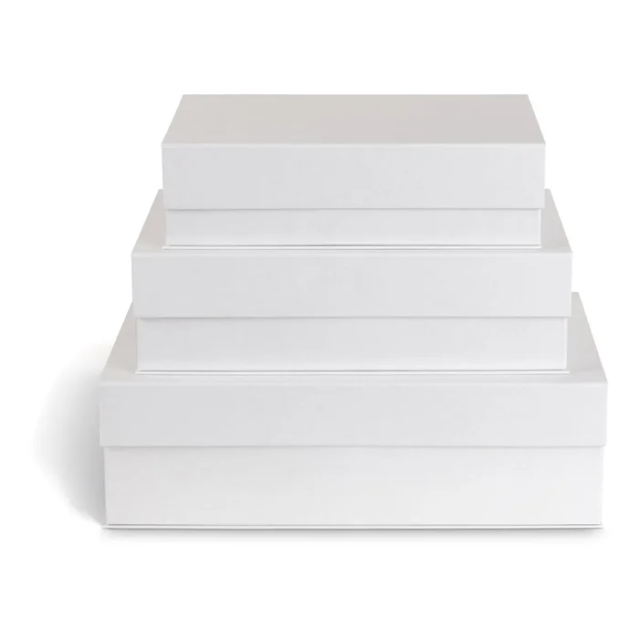 Sada úložných boxů Bigso, 3 ks, bílé s víkem