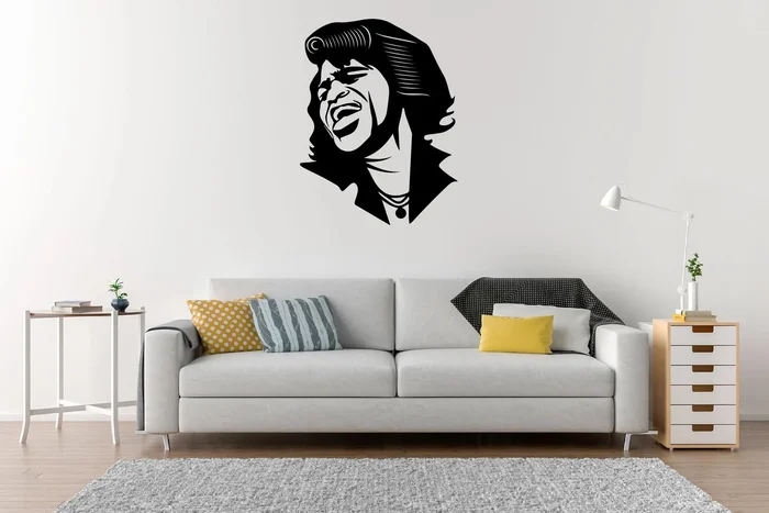 Samolepka na zeď James Brown Černá 30x39cm