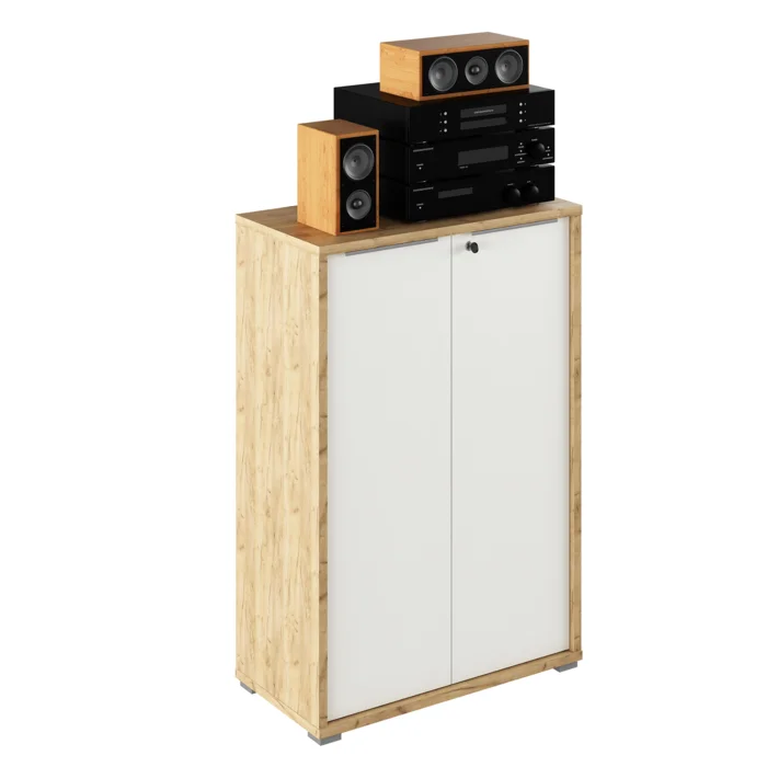 Skříň RIOMA TYP 09 dub artisan / bílá