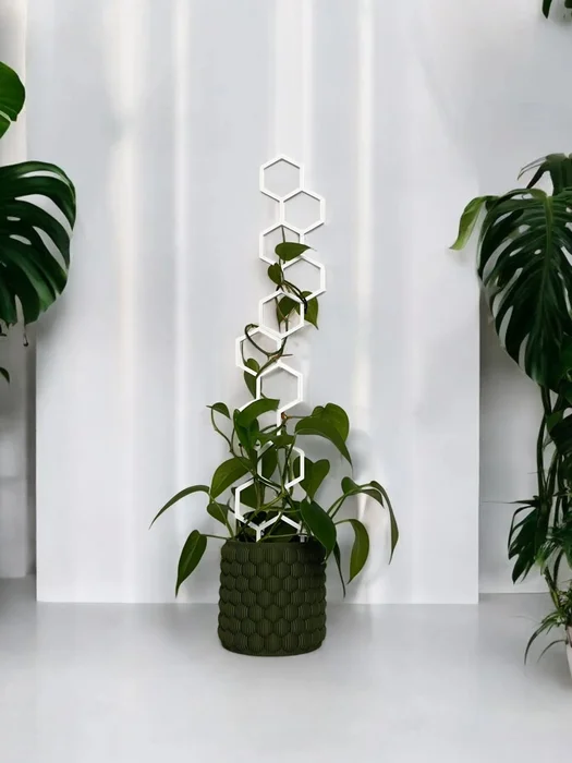 Uliová opora Plantbee 60 cm bílá