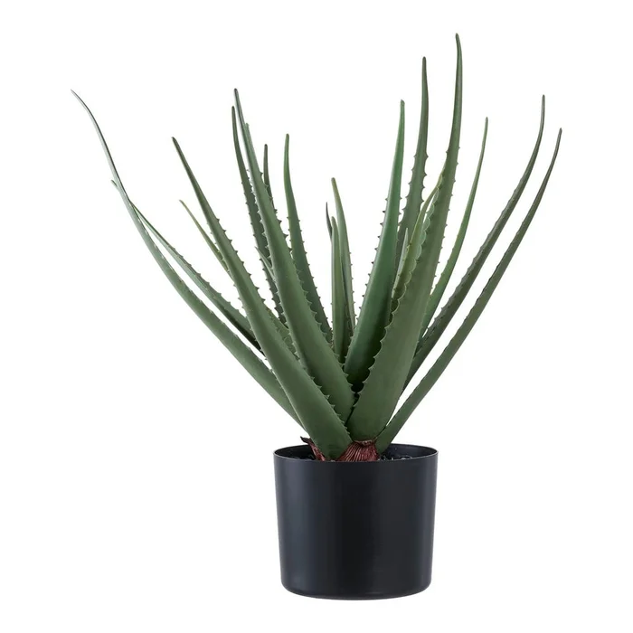Umělá Aloe Vera 51 cm