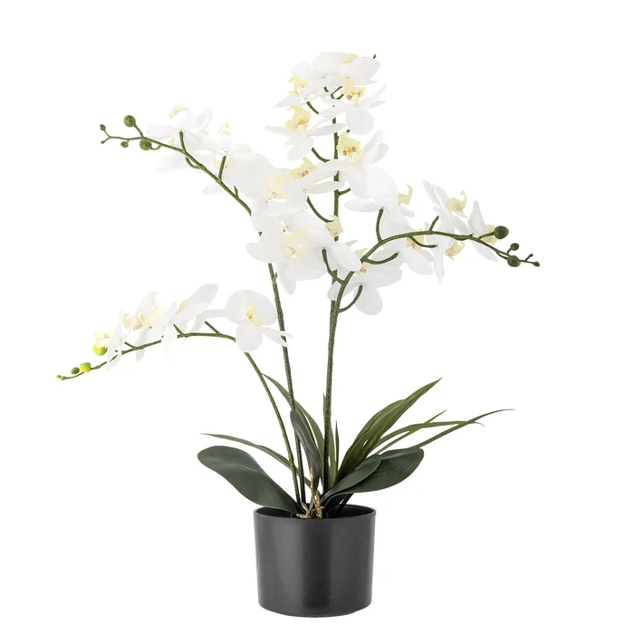 Umělá orchidej zelená