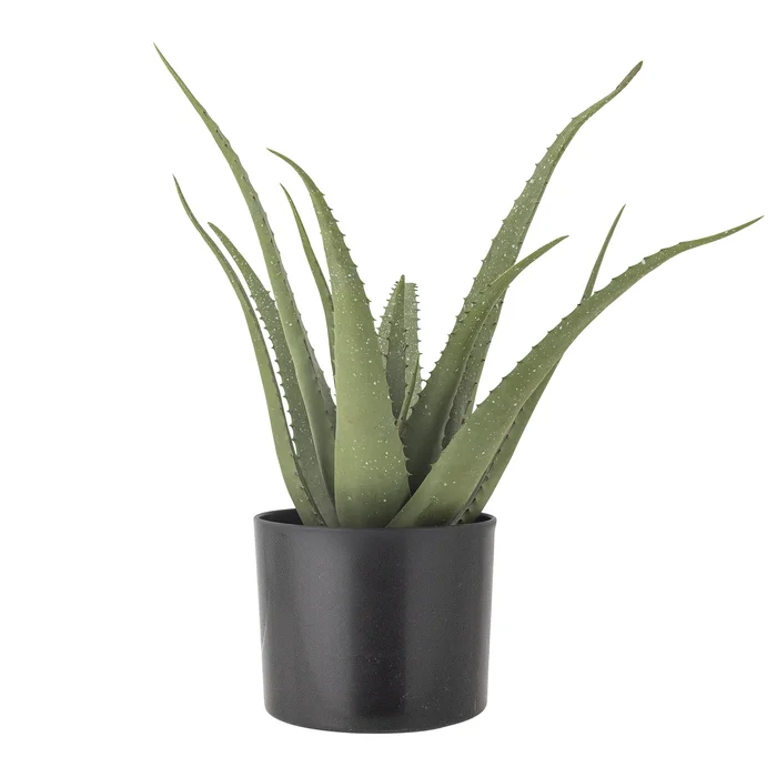 Umělá rostlina Aloe od Bloomingville