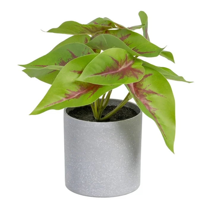 Umělá rostlina Syngonium 20 cm