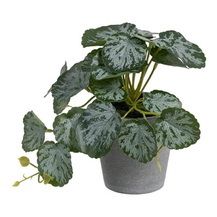 Umělá Saxifraga Ixia 21,5 cm