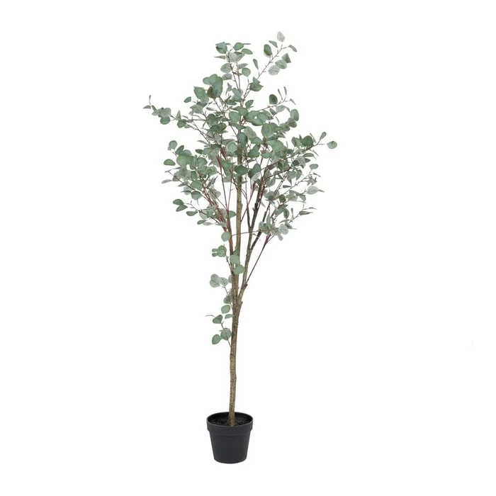 Umělý eukalyptus 180 cm