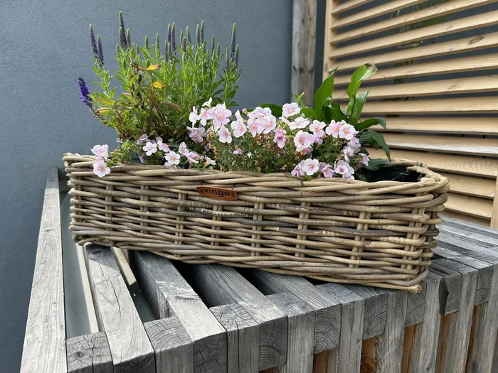 Vingo Ratanový truhlík s igelitovou vložkou 50x18x14 cm